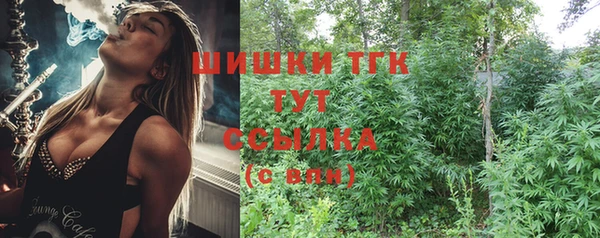 стафф Осинники