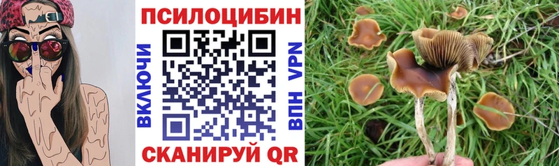 Галлюциногенные грибы мицелий  Туймазы 
