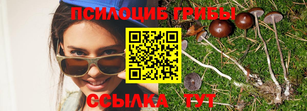 Галлюциногенные грибы GOLDEN TEACHER  купить   Псилоцибиновые грибы Psilocybe  Туймазы 
