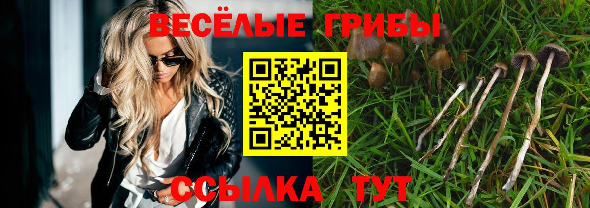 Галлюциногенные грибы ЛСД  Вход с VPN  Туймазы  Псилоцибиновые грибы ЛСД 